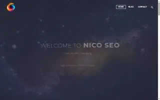 Nico SEO website