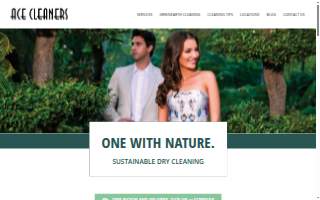 Ace Plus Cleaners