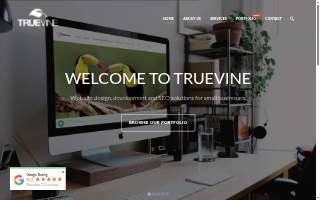Truevine Web Design of Henrietta