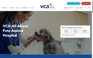 All Island Tax & Accounting of Holtsville website