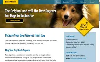 Dogs At Play website