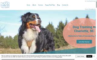 Tails of Success: Dog Daycare and Training