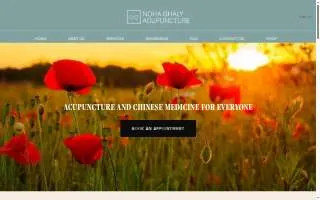 Noha Ghaly Acupuncture website