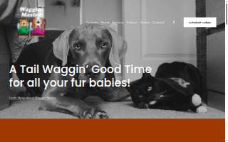 Waggin Master Boarding Kennel of Johnson City