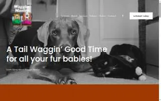 Waggin Master Boarding Kennel of Johnson City website