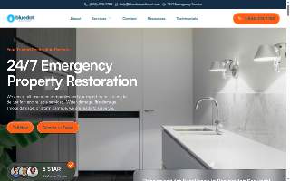 Blue Dot Restoration