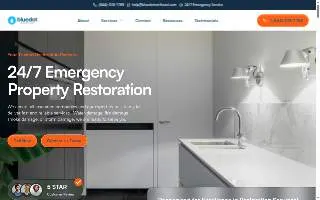 Blue Dot Restoration website