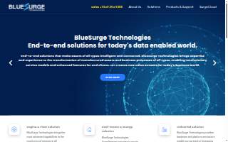 Blue Surge Marketing Agency