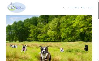 Harmony Dog Training of Lockport