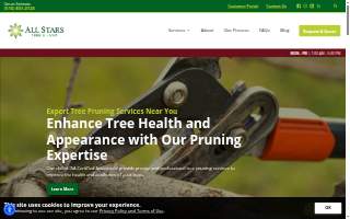 All Stars Tree Solutions of Manhasset