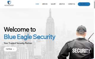Blue Eagle Security