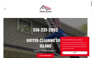 True Locals Gutter Cleaning