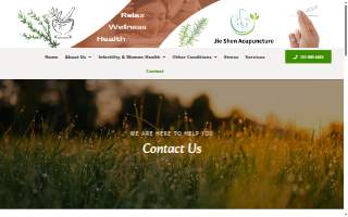 Chinese Acupuncture