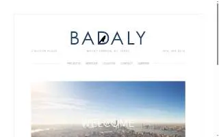 Badaly Engineering Pllc website