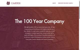 Cameron Group Inc