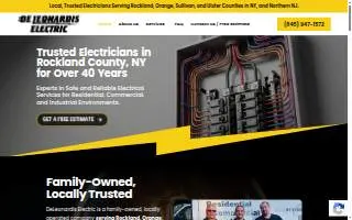 DeLeonardis Electric website