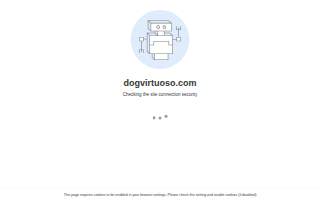 Dog Virtuoso