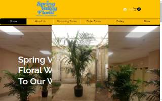 Spring Valley Floral