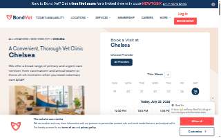 Bond Vet - Chelsea