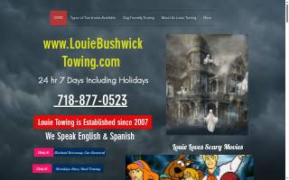Louie Bushwick Towing of New York