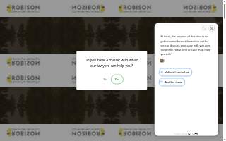 Robison Lemon Law Group LLC