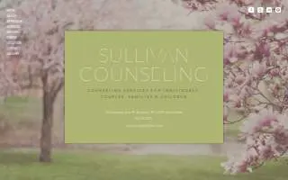 Sullivan Counseling website