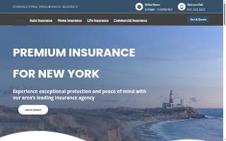 Consulting Insurance Agency