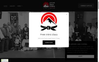 Long Island Bujutsu Academy of North Bay Shore