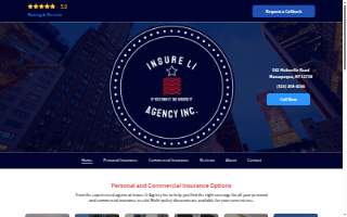 Insure LI Agency Inc of North Massapequa