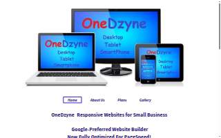 OneDzyne