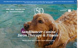 SandDancer Canine Swim Therapy & Fitness