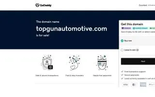 Top Gun Automotive Inc. website