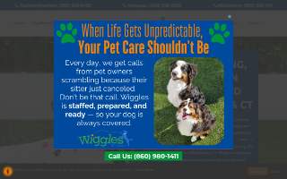 Wiggles Pet Resort in Middlebury