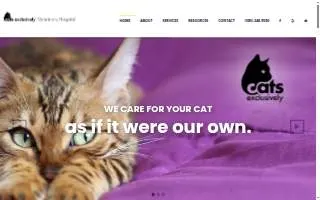 Cats Exclusively Veterinary Hospital website
