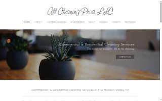 All Cleaning Pros