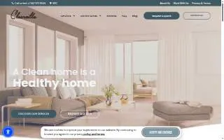 Cleanzilla Cleaning Nyc website