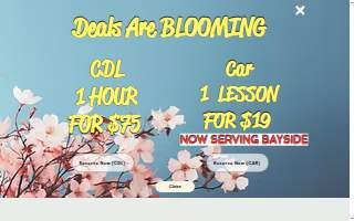 Queens Driving School