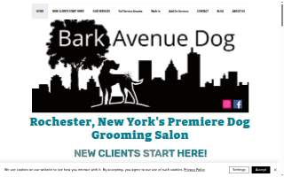 Bark Avenue Dog