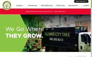 Flower City Tree of Rochester