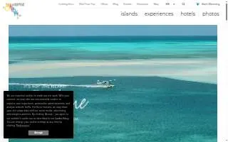 Nassau Auto Glass of Roosevelt website