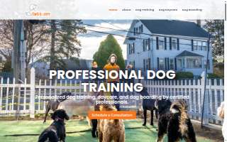 Bark & Learn - Best Dog Training & Sitting