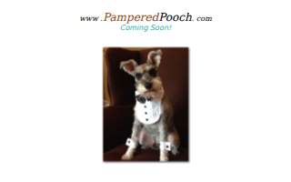 Pampered Pooch & Pals