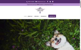 Companion Animal Medical Center