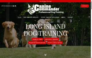 Canine Commander Dog Training of Syosset