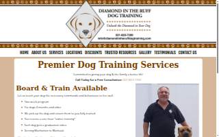 Diamond in The Ruff Dog Training of Uniondale