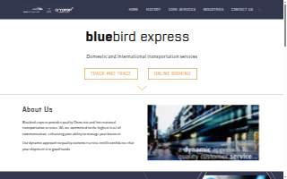 Bluebird Express, LLC
