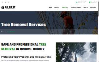CNY Tree Service LLC of Vestal