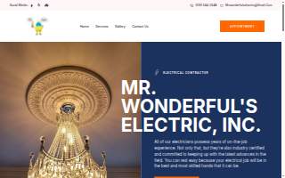 Mr. Wonderful's Electric