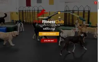 Fido Fitness Club website