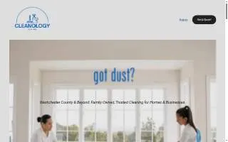 CLEANOLOGY New York website